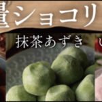 【訳あり】贅沢な口どけと懐かしい味わいが楽しめる訳ありショコリッシュ(チョコレート)
