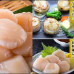 北海道産のお得な【訳あり(割れ/不揃い)】生ほたて貝柱どっさり1kg