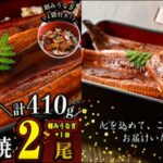 ふるさと納税うなぎ蒲焼レビュー:鹿児島県大隅産!評判とおすすめ