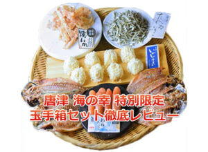唐津 海の幸 特別限定 玉手箱セット徹底レビュー｜お取り寄せ推奨