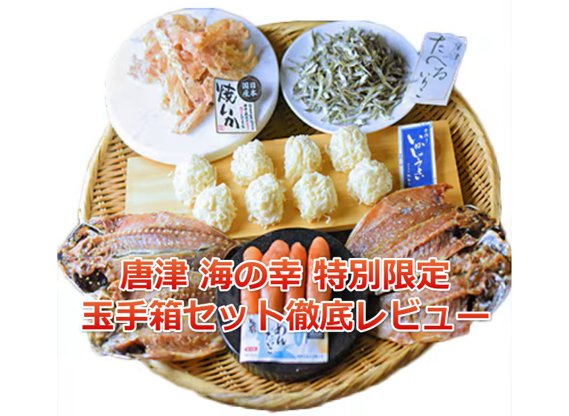 唐津 海の幸 特別限定 玉手箱セット徹底レビュー｜お取り寄せ推奨