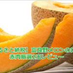 【ふるさと納税】富良野メロンの口コミ｜赤肉厳選2玉レビュー