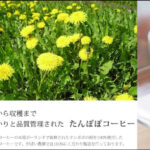たんぽぽコーヒー 【がばい農園の健康茶】