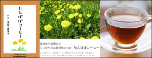 たんぽぽコーヒー 【がばい農園の健康茶】