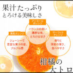 愛媛産せとか訳あり1.5kg口コミ爆弾!味・コスパ最強!